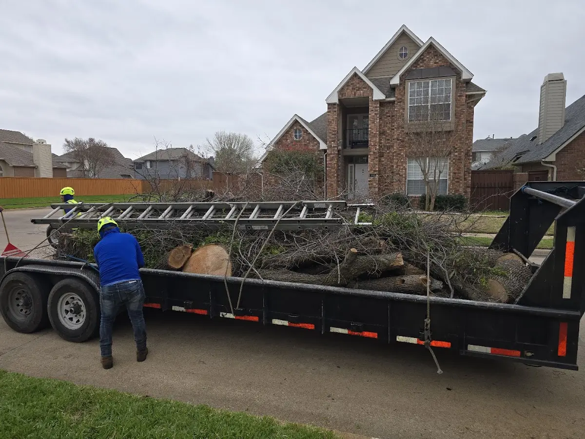 Expert Tree Fertilization with proper safety equipment in Dunellen